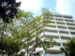 Blk 246 Yishun Sunshine (Yishun), HDB 4 Rooms #609029371